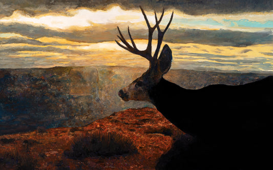 "Morning Canyon Buck" Original (SOLD)