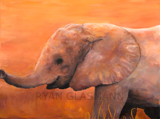 36 x 48 Elephant prints