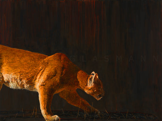 Mountain Lion Prints Canvas and Paper